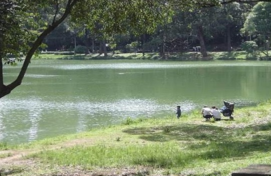 Parques de S�o Paulo s�o op��es na cidade, por Yeda Saigh