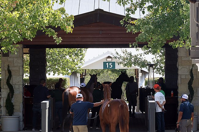 Leil�es de potros em Keeneland atingem recorde de US$ 531,6 milh�es em vendas