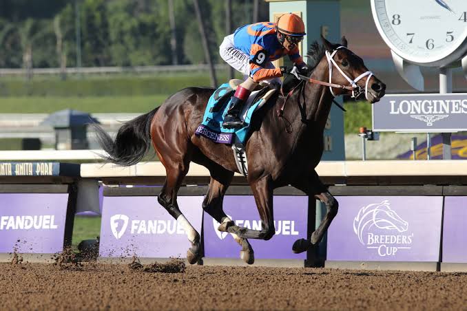 Fierceness e Journalism s�o os mais cotados da Breeders' Cup Classic deste s�bado, em Del Mar