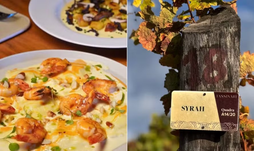 Queijaria La Porta, Fazenda Paraizo e Vinícola Tassinari: viagem pelo interior vai revelar queijos e vinhos