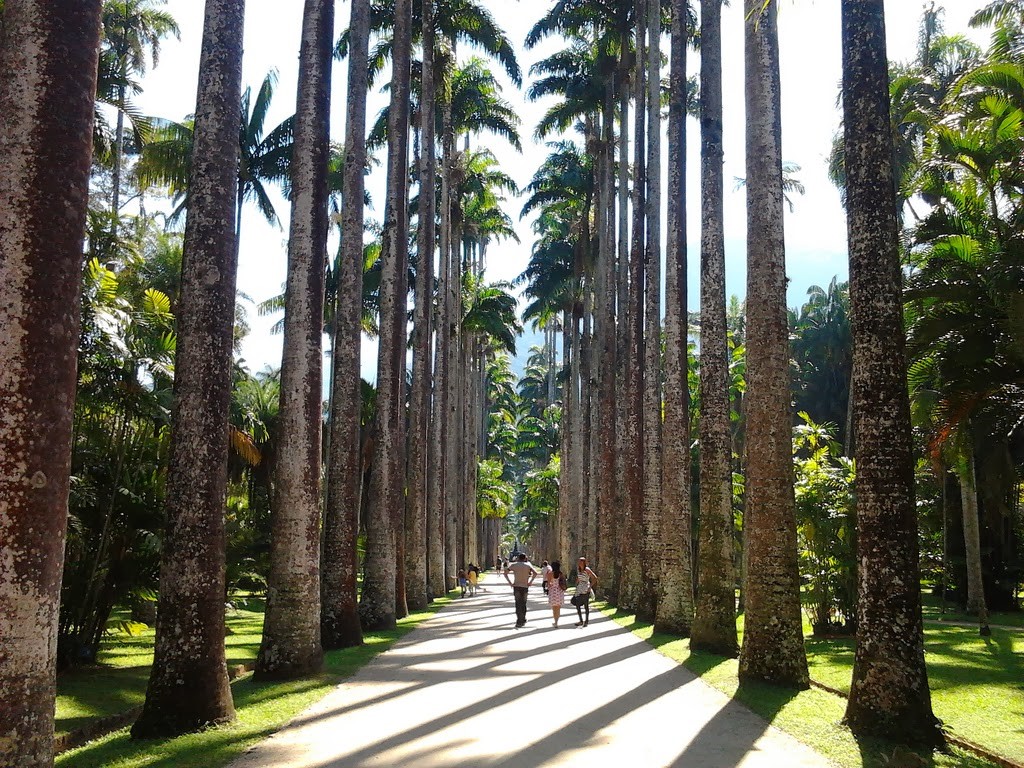 Dicas imperd�veis para passeios no Rio de Janeiro, por Yeda Saigh